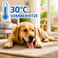 CoolBleiben Hundekühlmatte