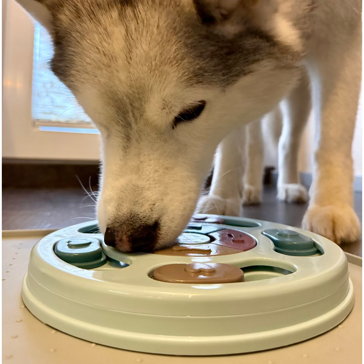 Mexx´s 2-in-1 Beschäftigungsset