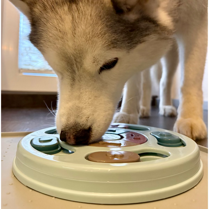 Mexx´s 2-in-1 Beschäftigungsset