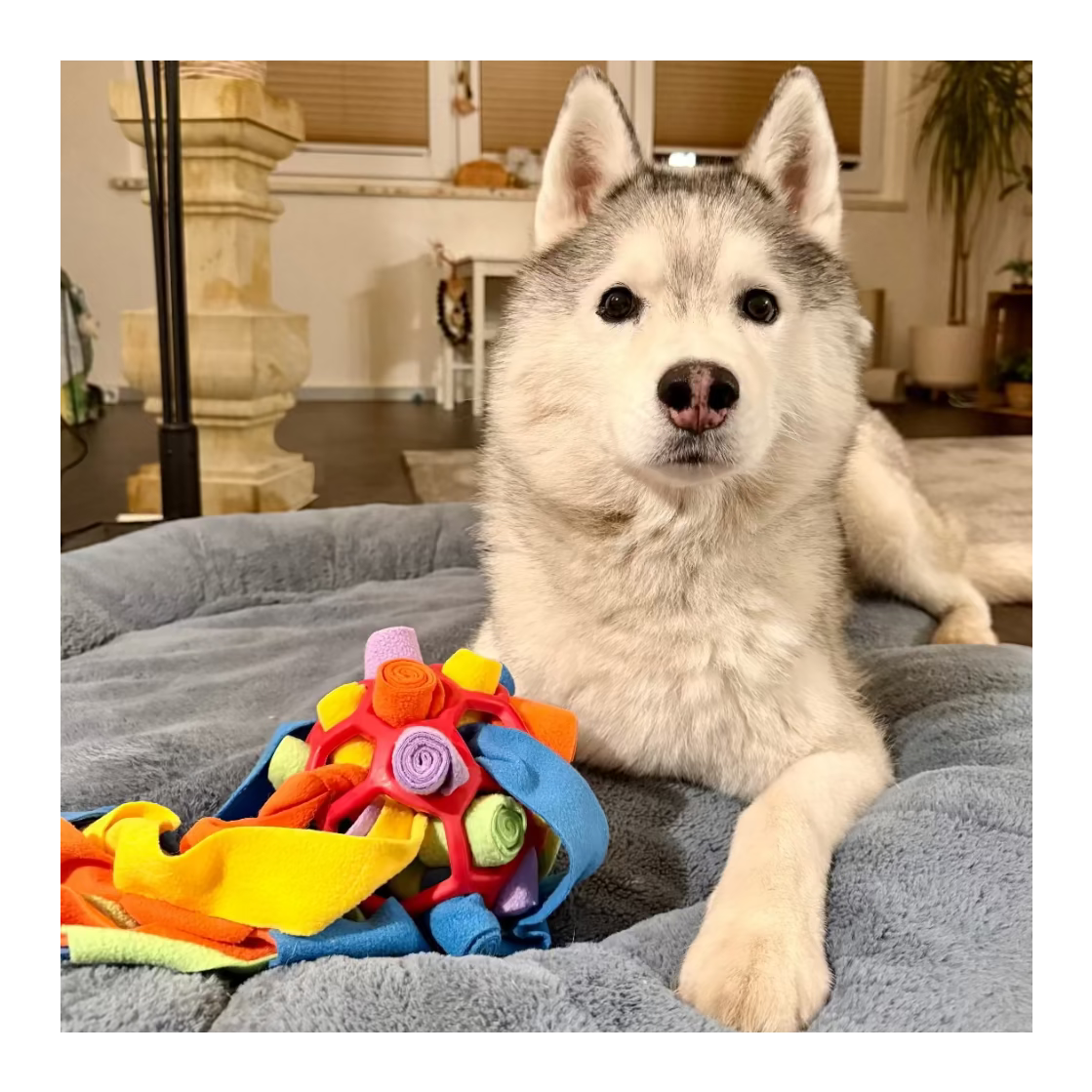 Mexx´s 2-in-1 Beschäftigungsset