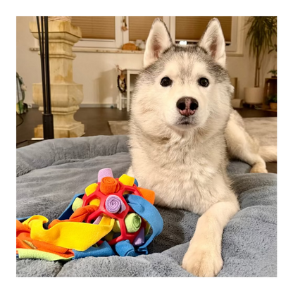 Mexx´s 2-in-1 Beschäftigungsset